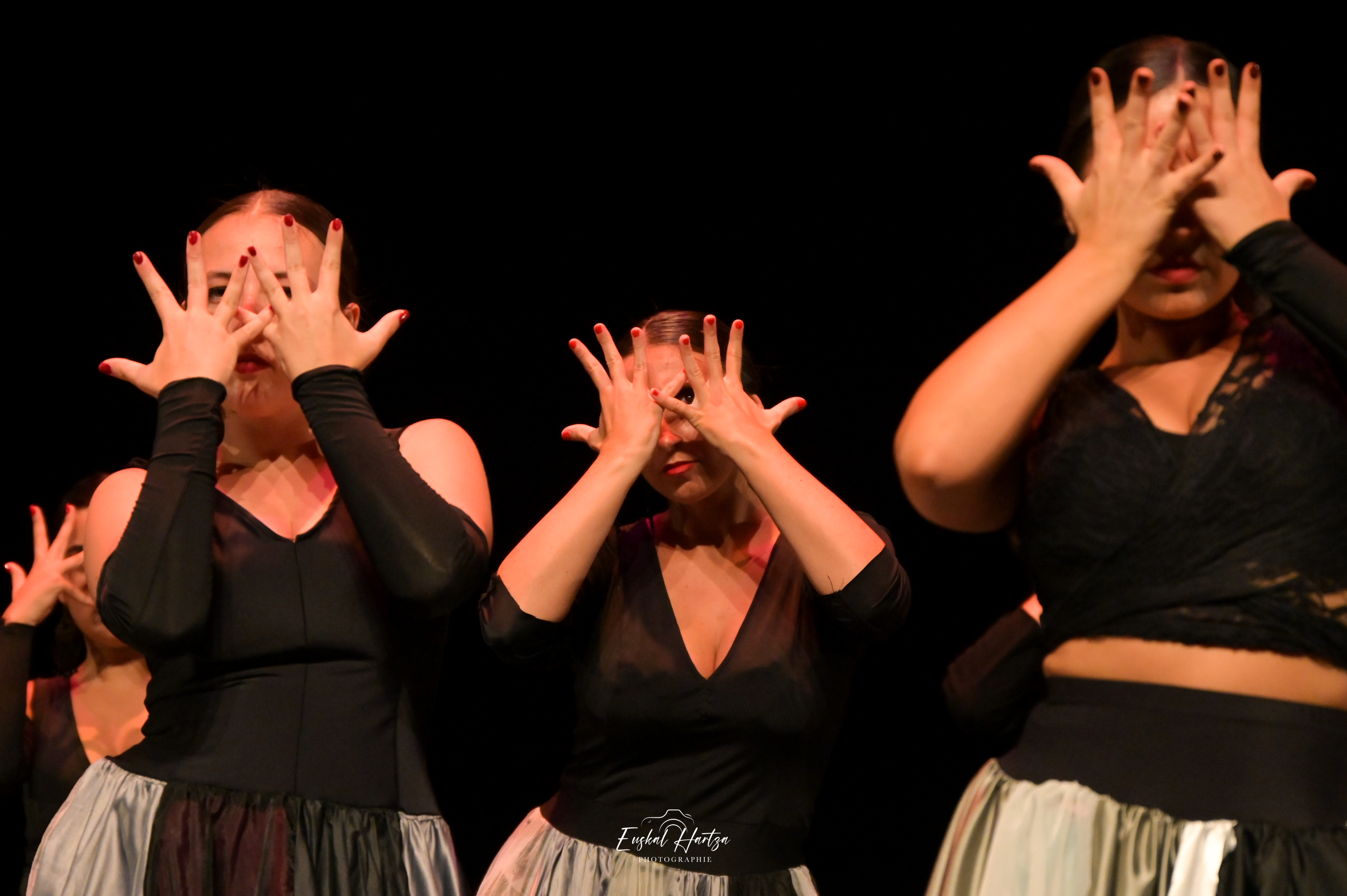 Spectacles & Shows - Photo 1